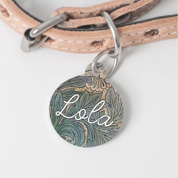 The Most Charming Pet Tags You'll Find on Etsy!	