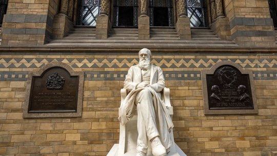 Darwin Day: Engaging Science-Themed Gifts for Enthusiasts