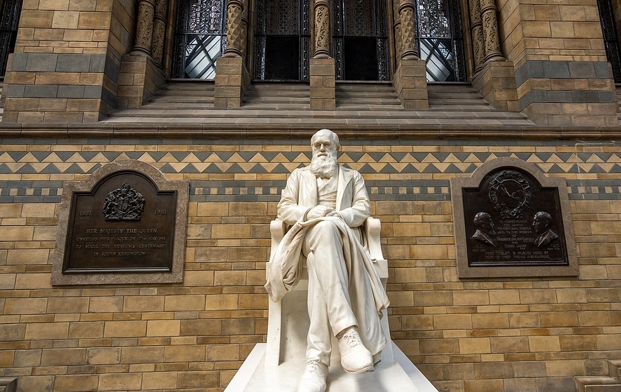 Darwin Day: Engaging Science-Themed Gifts for Enthusiasts