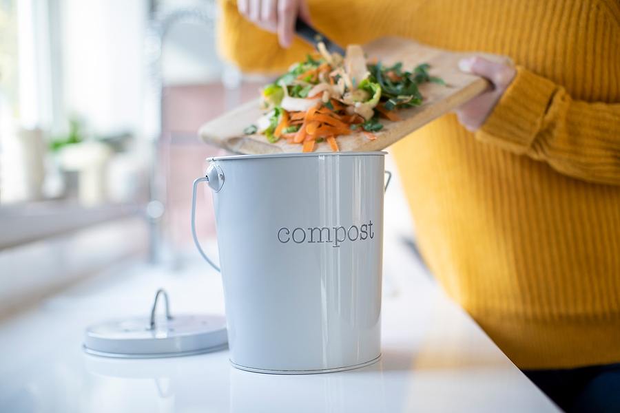 Earth-Conscious: What is Composting and Why You Need to Do It + Best Compost Bins