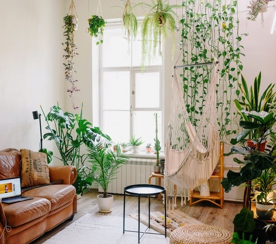 15 Decor to Transform Your Home Into a Nature-inspired Oasis This Summer