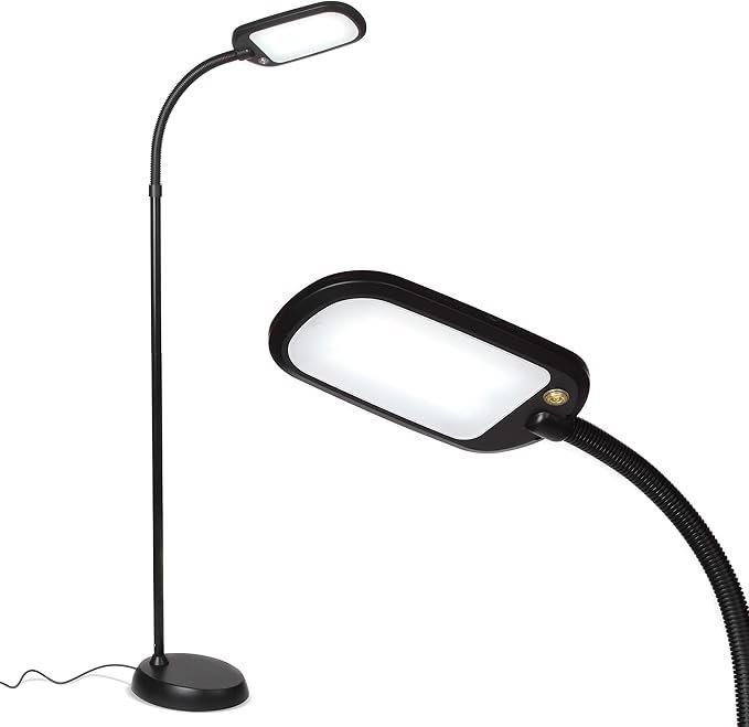 Brightech LED Floor Lamp (ShopStyle)