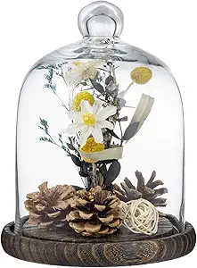 MyGift Decorative Glass Cloches (ShopStyle)