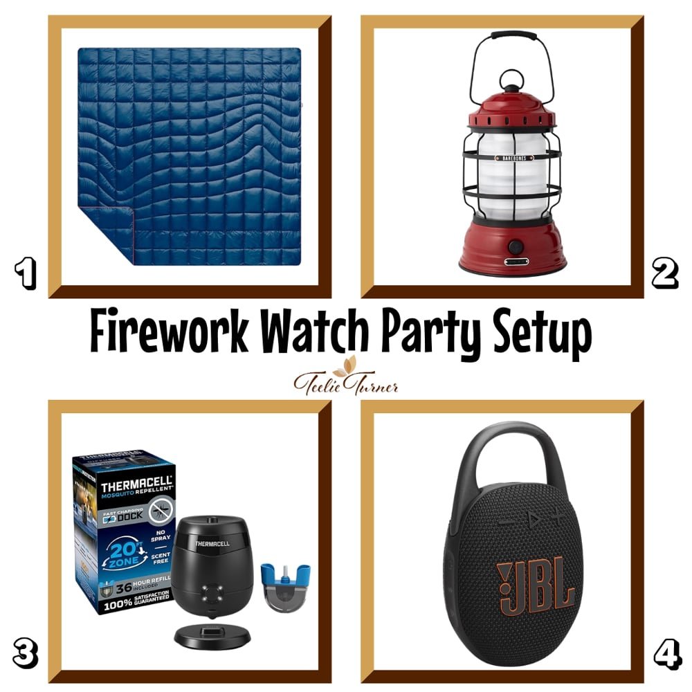 Firework-Watch-Party-Setup