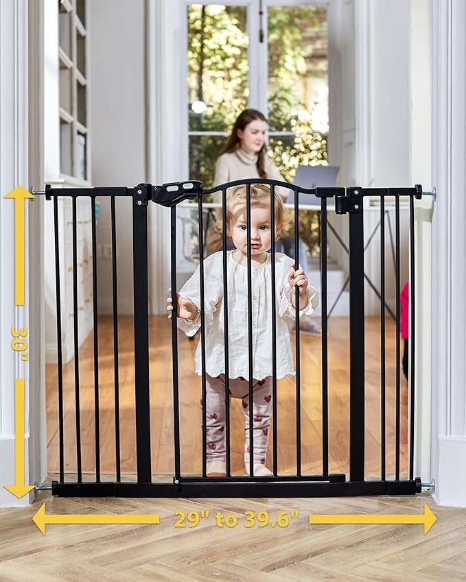 InnoTruth Dual-Lock Walk-Thru Gate